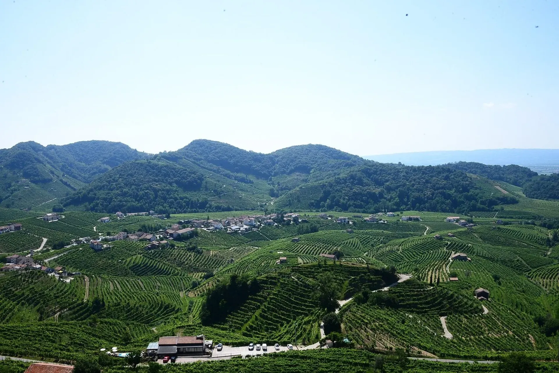 Colheita em Valdobbiadene